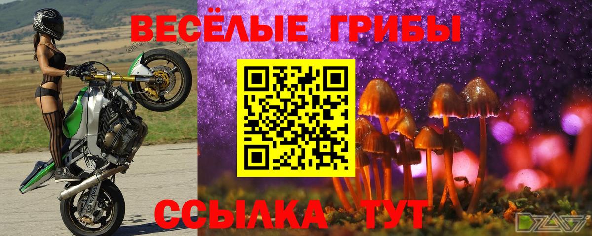 Псилоцибиновые грибы ЛСД  Псилоцибиновые грибы Magic Shrooms  Кохма  Вход с VPN 